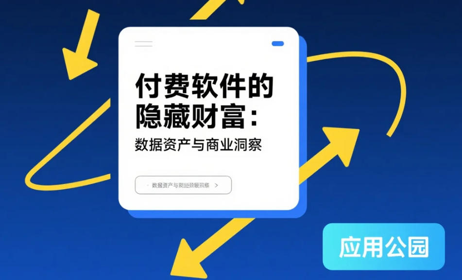 付費(fèi)軟件的隱藏財富:數(shù)據(jù)資產(chǎn)與商業(yè)洞察